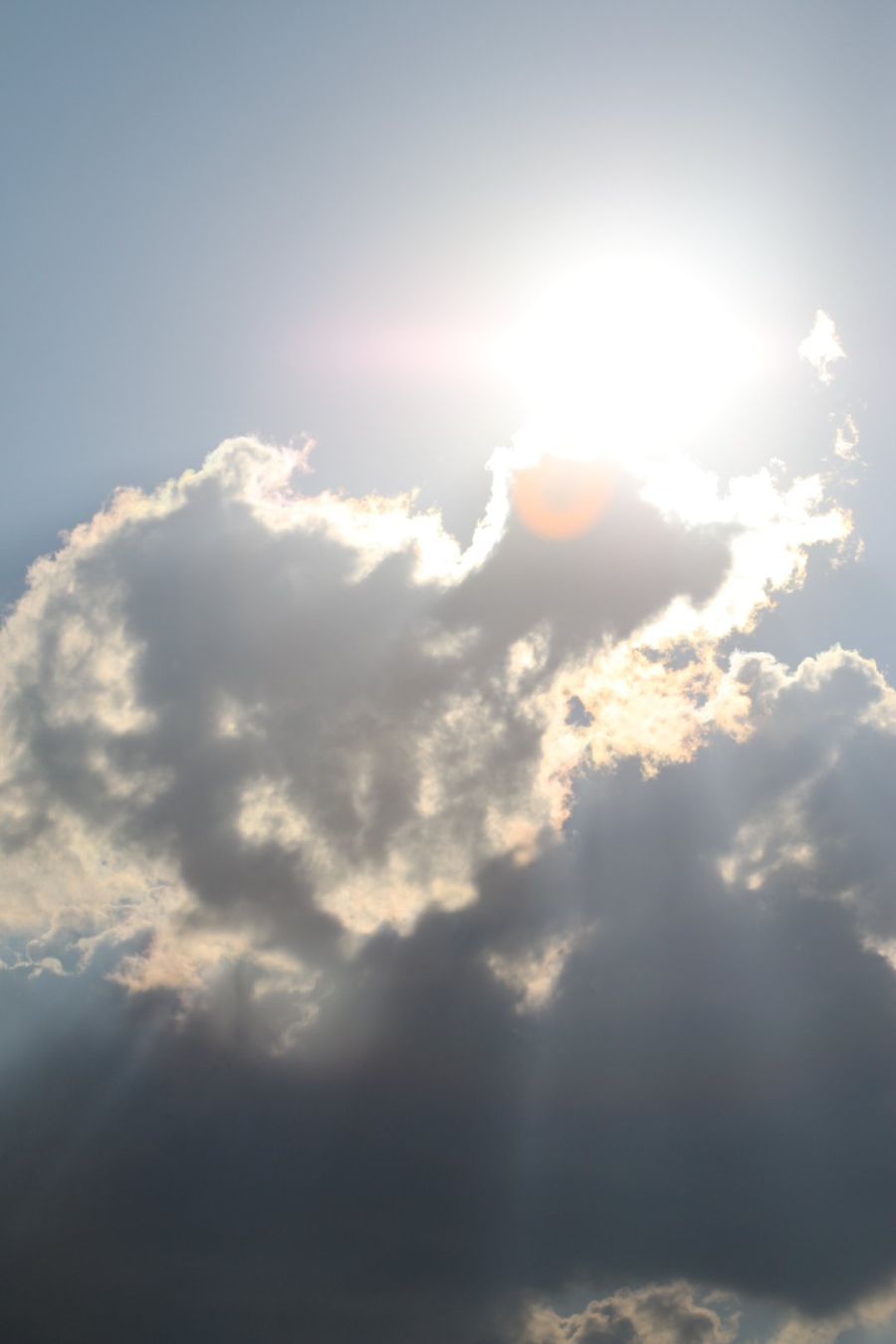 Commercial Property for Sale in Lekwena Wildlife Estate North West